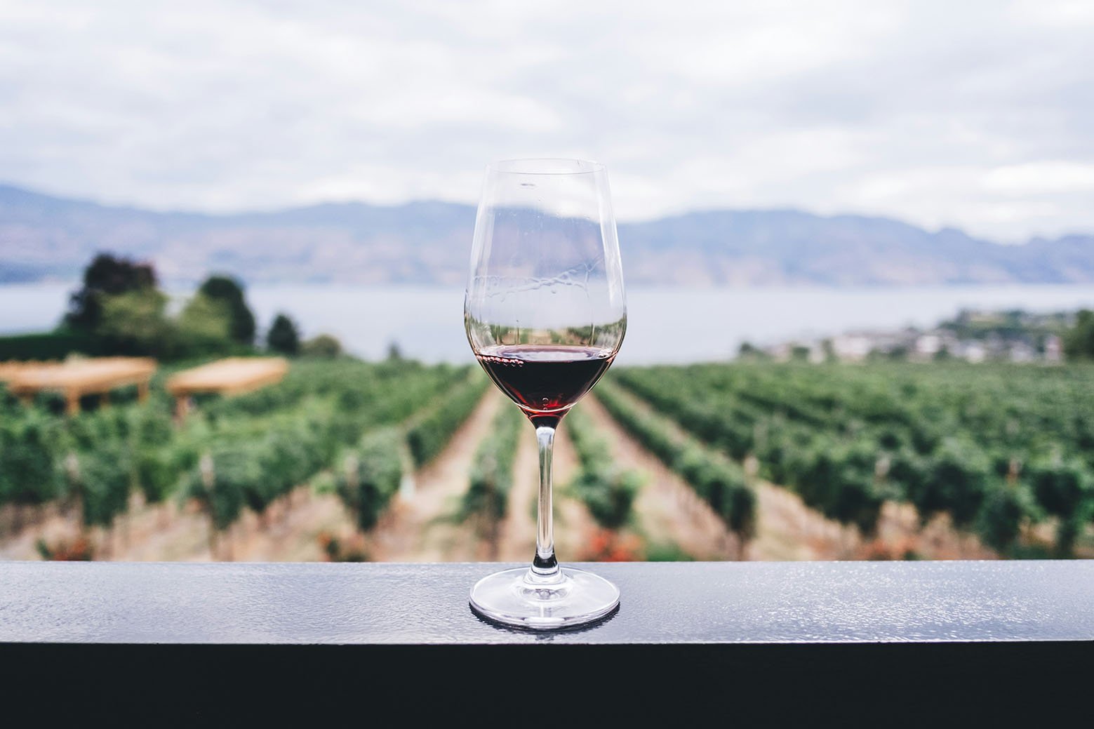 Photo by <a href="https://unsplash.com/@kymellis?utm_content=creditCopyText&utm_medium=referral&utm_source=unsplash">Kym Ellis</a> on <a href="https://unsplash.com/photos/clear-wine-glass-overlooking-orchard-during-daytime-aF1NPSnDQLw?utm_content=creditCopyText&utm_medium=referral&utm_source=unsplash">Unsplash</a>
      